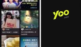 视频爆料规则最新版,揭秘合规发布与风险规避要点